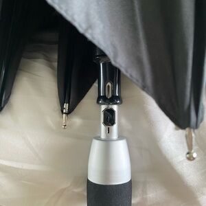 Luxurious French Umbrella - Château de Fontainebleau